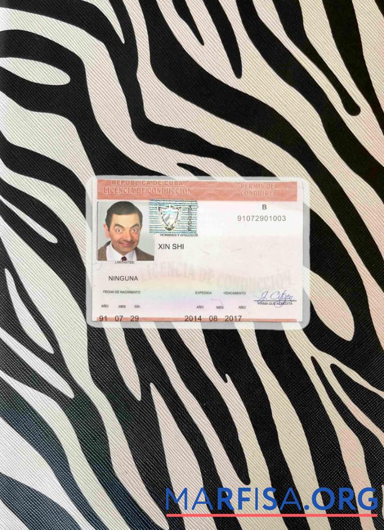 Blank Cuba DL photolook download for verification